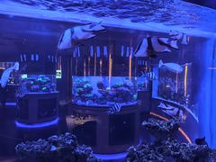 -上和臻品中国菜(花园街店)