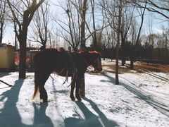 -北京亚布洛尼朝阳公园滑雪场