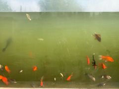 景点-云龙湖旅游景区