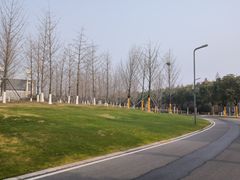 -武汉园博园(武汉自然博物馆)