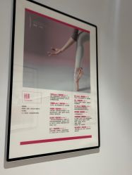 -防空洞舞蹈·瑜伽