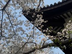 -范蠡湖公园