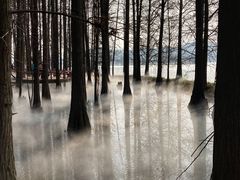 -东湖落雁景区