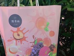 -野萃山·潮汕厚果汁(十亩地店)