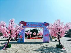 -苏州太湖国家湿地公园