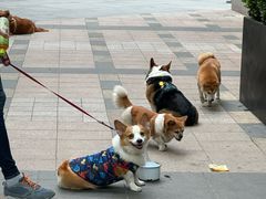 -利苑酒家(金宝店)