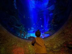 -沈阳海洋探索中心