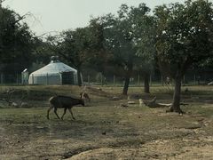-西安秦岭野生动物园