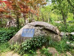 -崂山巨峰游览区