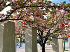 -唐城墙遗址公园