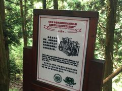 -井冈山风景名胜区-黄洋界