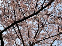 -永乐路-路侧停车场