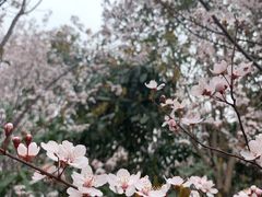 -郑州植物园