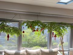 -精德口腔·种植修复·儿牙中心(财富中心店)