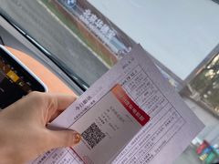 -枫花园汽车电影院(朝阳公园店)
