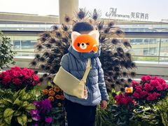 -重庆江北国际机场-T2航站楼