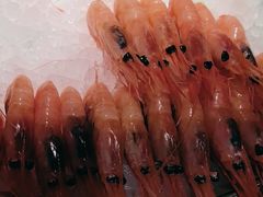 -福樱兰海鲜放题铁板烧(加州店)