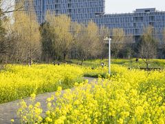 -东南大学(九龙湖校区)