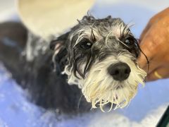-FAELING PETS美天灵宠物(富力广场店)