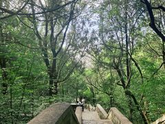 -千佛山风景名胜区