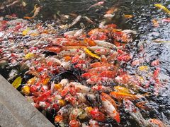 -番禺宾馆丽苑厅