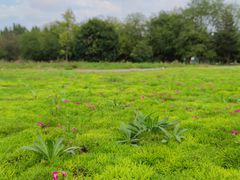 -汉长安城未央宫国家考古遗址公园
