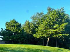 -万柳高尔夫俱乐部