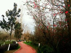 -白鹭湾湿地公园