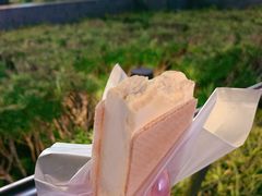 芒果-詹爷爷乌节路街头冰淇淋