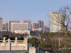 -放鹰台遗址