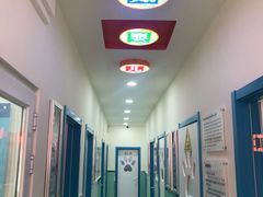 -全心全意连锁动物医院(石景山店)