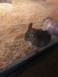 -酷嗒动物文化乐园(cutezoo西溪乐天城店)