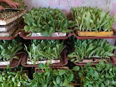 -宣威山野人家·云南菜·菌火锅(金碧店)