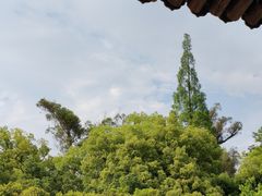 -墨池公园