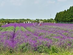 -嘉北郊野公园