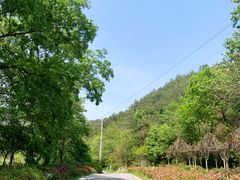 -木兰云雾山