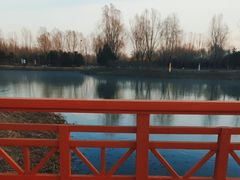 -东郊湿地公园