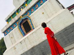 -塔尔寺