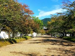 -醍醐寺