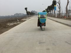 -焦岗湖旅游度假区