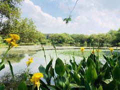-旅马餐厅(茅家埠店)