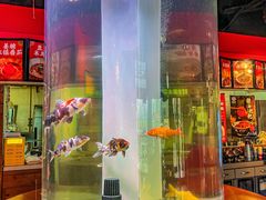 -秤砣砣·湖南粉面馆(青年路店)
