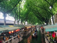 -同里国家湿地公园