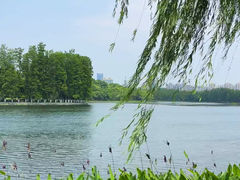 -东湖听涛景区