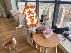 -柴犬小屋·柴餐厅·狗咖食堂(金鼎广场店)