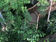 -郑州植物园