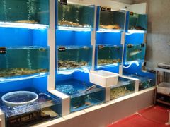 水产区-赶海部落海鲜城(海阳路店)