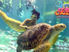 -秦皇岛乐岛海洋王国