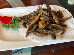 哈巴狗-大自然(鲁家村店)