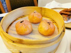 -湛江菜.江南首席(昆山店)